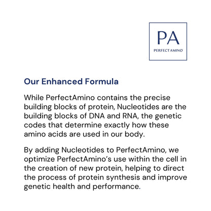 BodyHealth Gut Restore with PerfectAmino, ImmunoLin, and Humic Acid - Gut Health Supplement for Digestive and Immune Support - Unflavored - 30 Servings BodyHealth