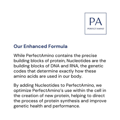 BodyHealth PerfectAmino, Essential Amino Acid with BCAAs + Lysine, Phenylalanine, Threonine, Methionine, Tryptophan, Supplement for Muscle Mass Production, BodyHealth