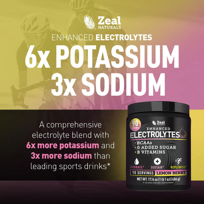 Zeal Electrolyte Powder - 90 Servings | Keto Electrolytes Powder | Zero Sugar, BCAAs, B-Vitamins | Potassium, Zinc, Magnesium Zeal Naturals