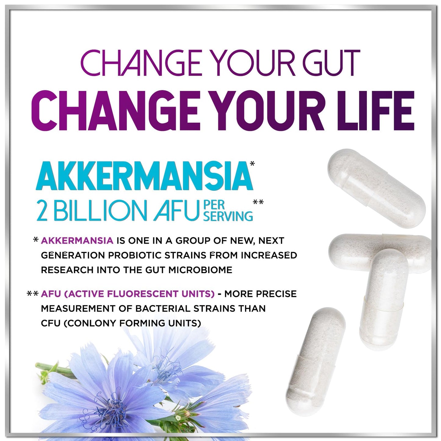 Akkermansia Probiotic - 2 Billion AFU per Serving - Best Strain for GLP-1 Production Support with Prebiotic Fiber for Natural Digestive & Gut Health Hello Lovely!