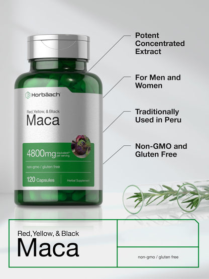 Horbäach Maca Root Capsules for Men and Women | 120 Pills | High Potency Extract | Non-GMO and Gluten Free Formula Horbäach