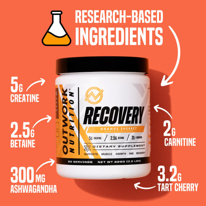 Outwork Nutrition Post Workout Recovery Powder - Creatine Monohydrate, KSM-66 Ashwagandha & Tart Cherry - Speeds Recovery, Eases Soreness - Creatine Powder for Men & Women, Orange Sherbet, 230 Gr