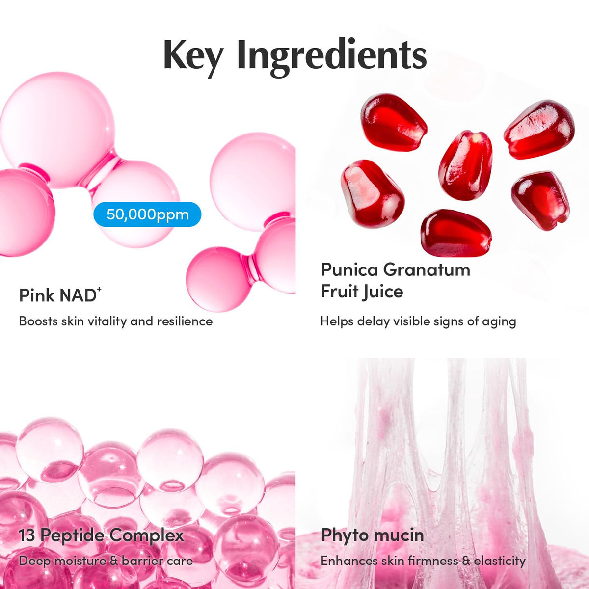 EQQUALBERRY NAD+ Peptide Boosting Cream – NAD+ 5% & 13 Peptides Anti-Aging Korean Skincare Face & Body Cream | Firming & Lifting Pink Neck Cream for Sagging Skin (1.69 fl.oz / 50ml) EQQUALBERRY