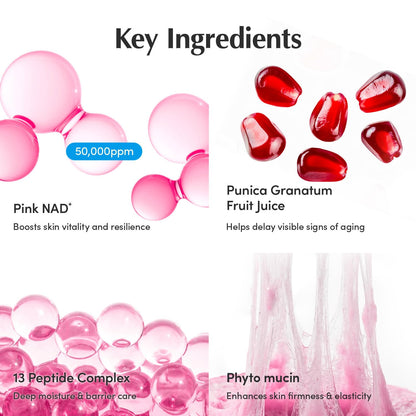 EQQUALBERRY NAD+ Peptide Boosting Cream – NAD+ 5% & 13 Peptides Anti-Aging Korean Skincare Face & Body Cream | Firming & Lifting Pink Neck Cream for Sagging Skin (1.69 fl.oz / 50ml) EQQUALBERRY