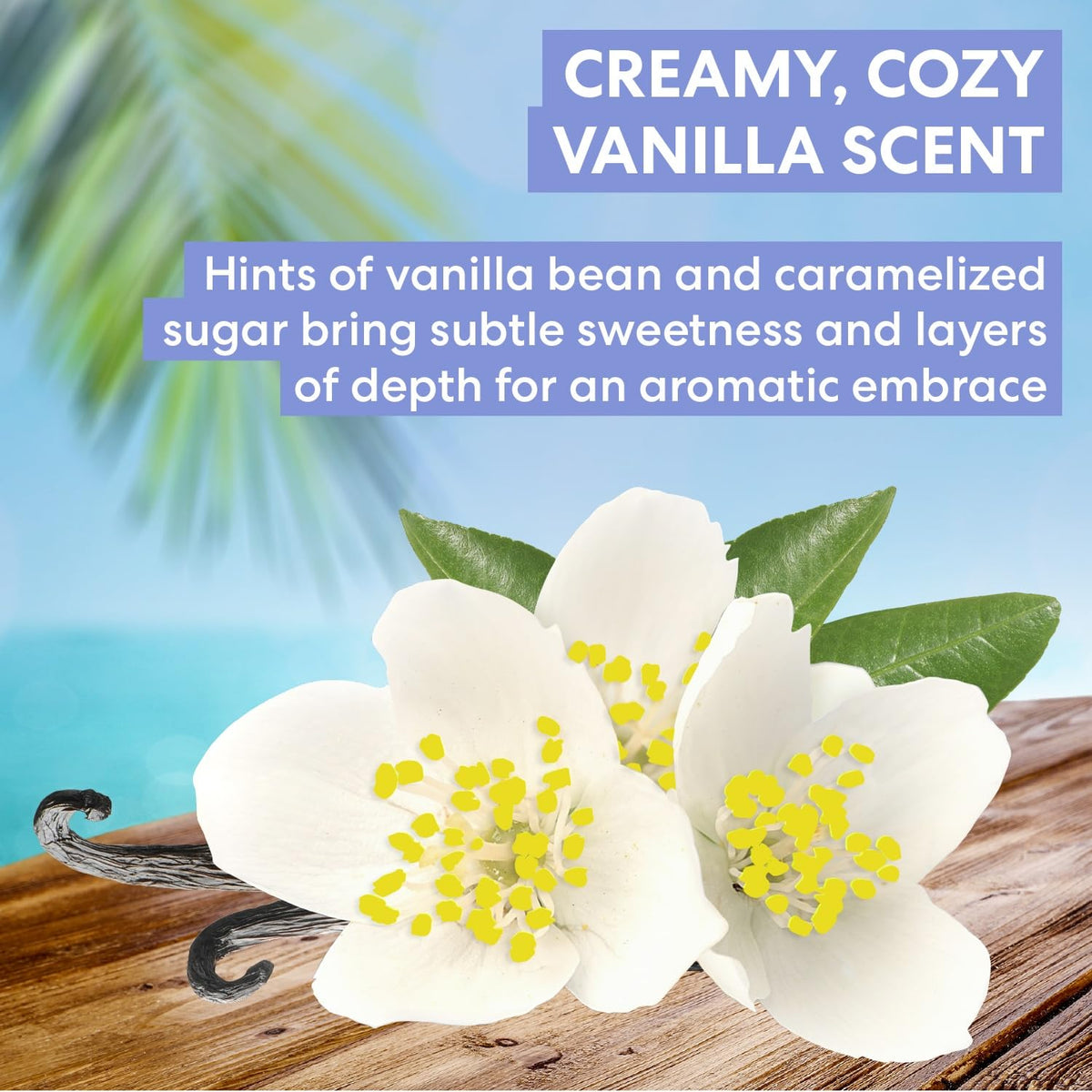 Palmer's Tahitian Vanilla Body Lotion with Cocoa Butter (33.8 Fl Oz) Palmer's