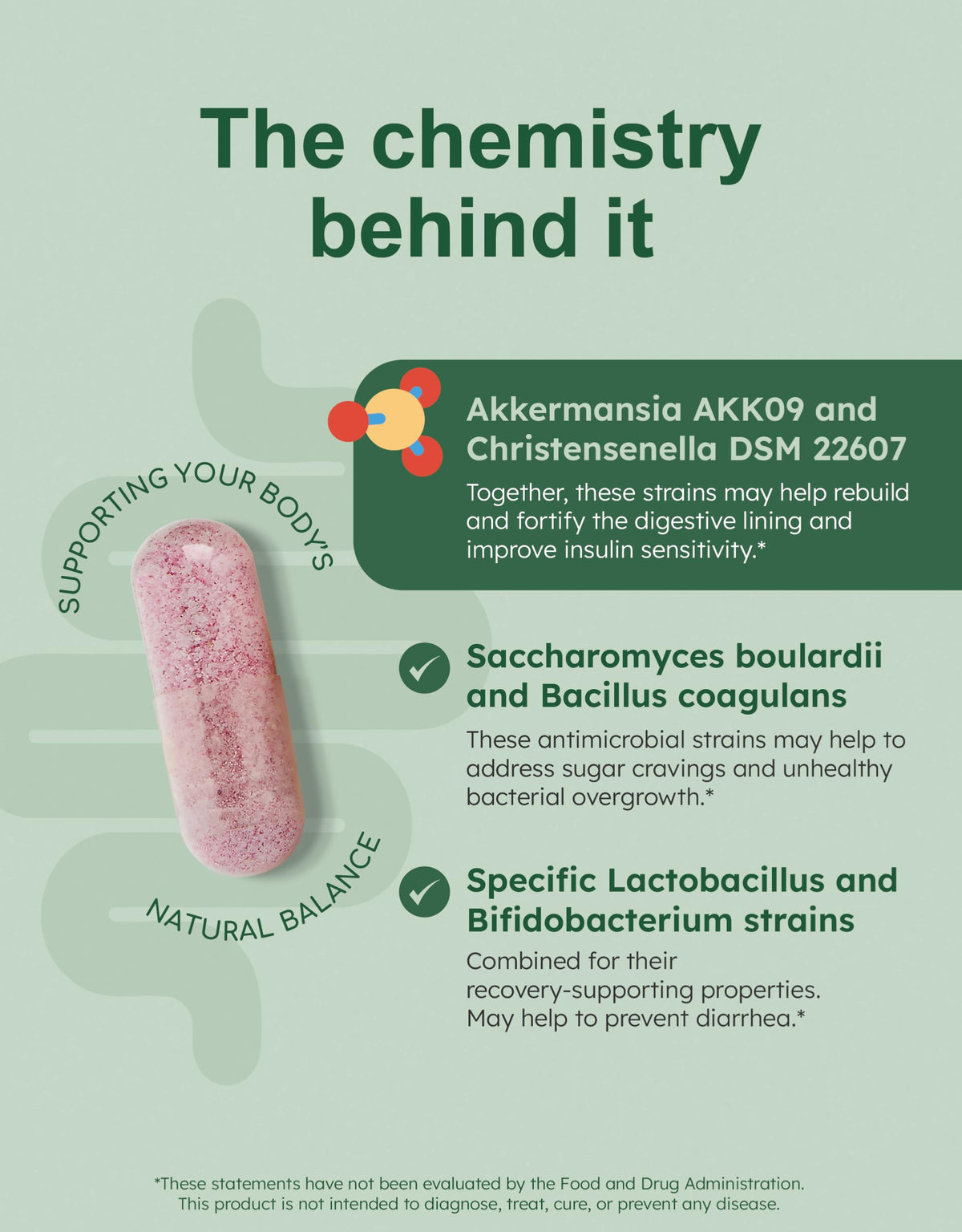 GutRx Balance – Probiotics for Women & Men with Akkermansia Probiotic & Christensenella, GLP-1 Alternative for Gut Health with Lactobacillus Plantarum, GutRx