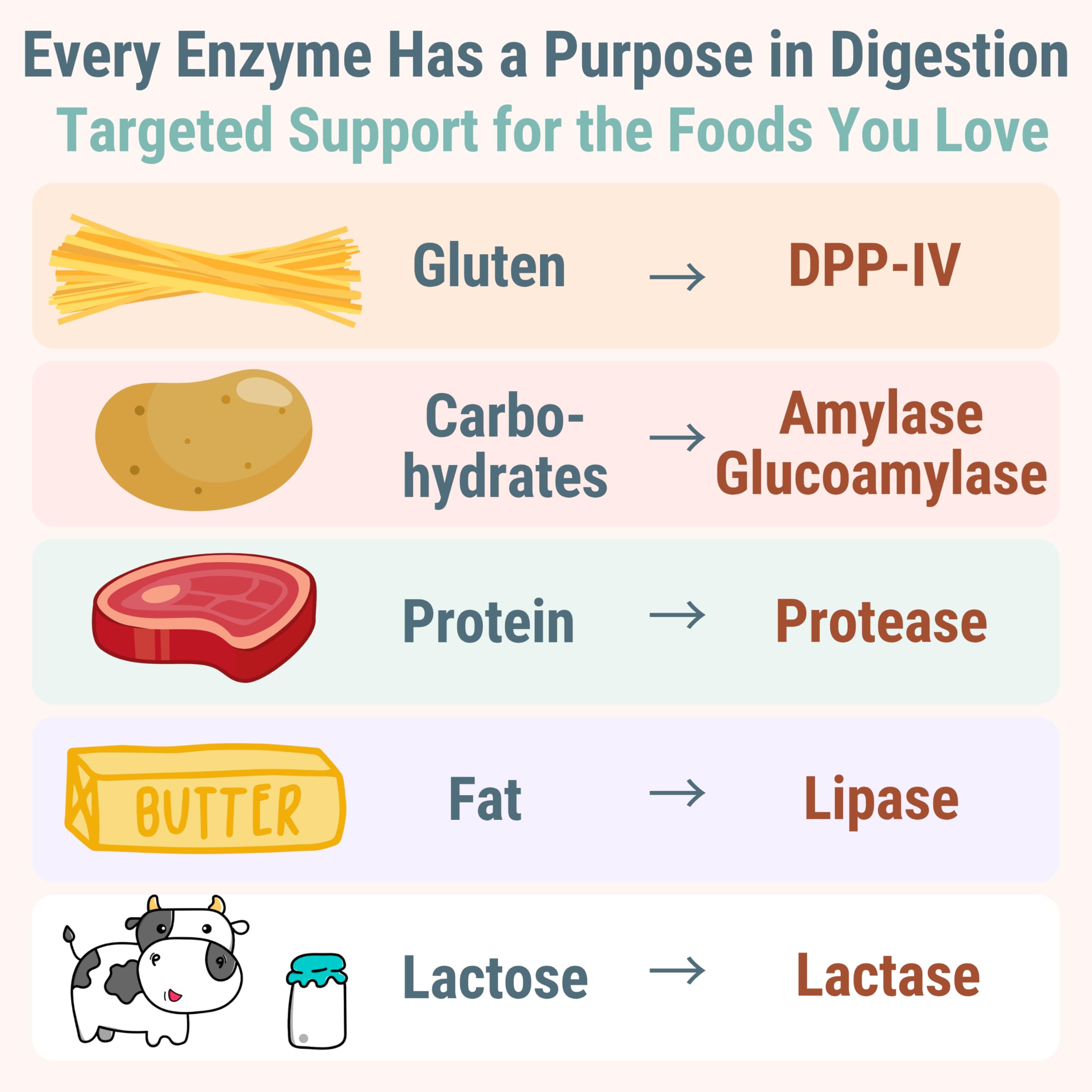 Gluten & Lactase Digestive Enzyme Gummies – Lactase Pancreatic Enzymes with DPP‑IV Lipase Gluco‑Amylase Lactase, Drops Chewables Capsules Pills Powder Supplement Alt, Pancreatic Support, for Kids SHIZAM buy australia supplements