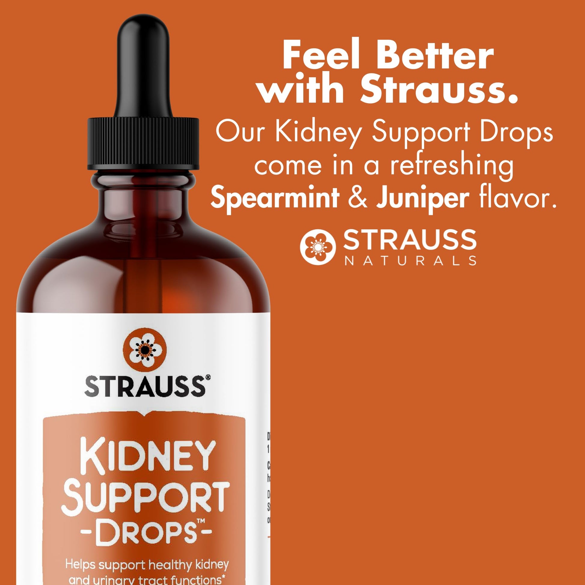 Strauss Naturals Kidney Support Drops – Herbal Kidney Support Supplement for Men and Women – Helps with Kidney Health and Urinary Tract Function – Vegan & Non-GMO – Spearmint Flavored – 100 ml Bottle Strauss Heartdrops buy australia supplements