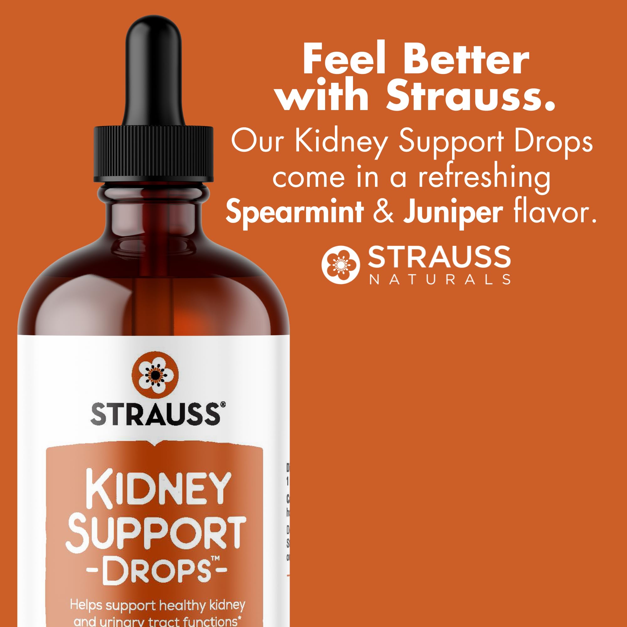Strauss Naturals Kidney Support Drops – Herbal Kidney Support Supplement for Men and Women – Helps with Kidney Health and Urinary Tract Function – Vegan & Non-GMO – Spearmint Flavored – 100 ml Bottle Strauss Heartdrops buy australia supplements