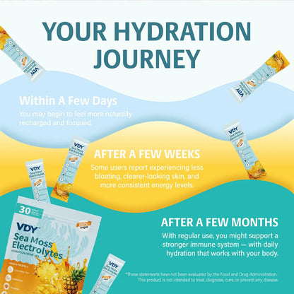 VDY Sea Moss Electrolytes Powder Packets - Hydration Packets Sugar Free - Electrolyte Packets with 30 Sticks - Zero Sugar & 0 Calorie - Keto Friendly VDY