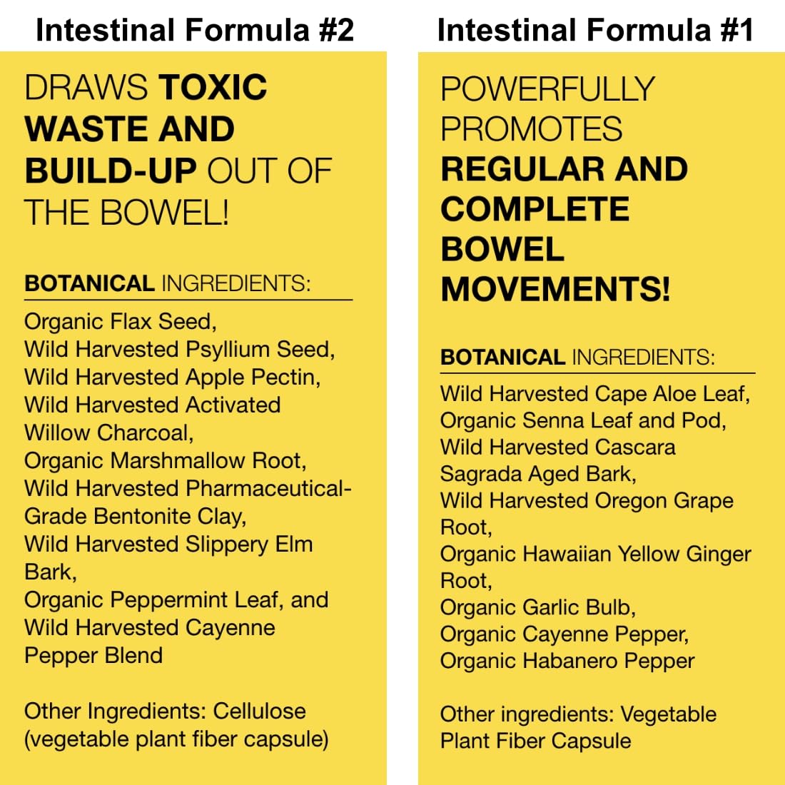 Dr. Schulze's Intestinal Formula #2 (8 Ounces) and Intestinal Formula #1 Capsules Dr. Schulze's buy australia supplements