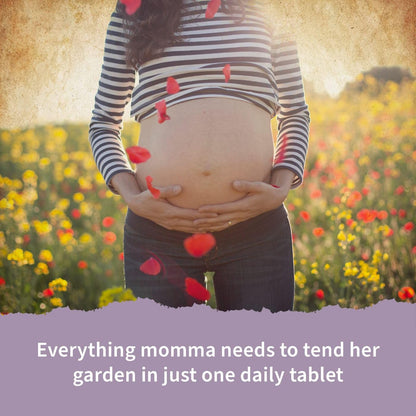 Garden of Life Prenatal Vitamins for Women, Organics Folate for Energy & Healthy Fetal Development, Non-constipating Iron, Vitamin C, B6, B12, D3, Non-GMO, Gluten-Free, Vegan, 90 Day Supply Gsupps Australia