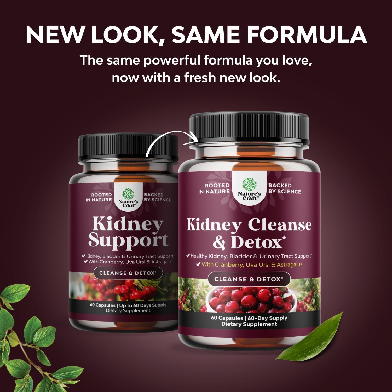 Advanced Kidney Cleanse Support - Cranberry Supplement - 60 Capsules | Kidney Support Supplement with Uva Ursi, Stinging Nettle Leaf & Astragalus - Urinary Tract Support - Vegan - 60 Servings Gsupps Australia