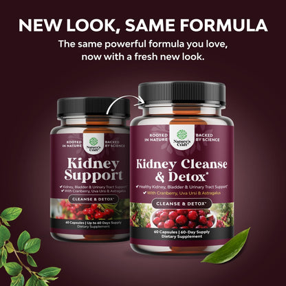 Advanced Kidney Cleanse Support - Cranberry Supplement - 60 Capsules | Kidney Support Supplement with Uva Ursi, Stinging Nettle Leaf & Astragalus - Urinary Tract Support - Vegan - 60 Servings Gsupps Australia