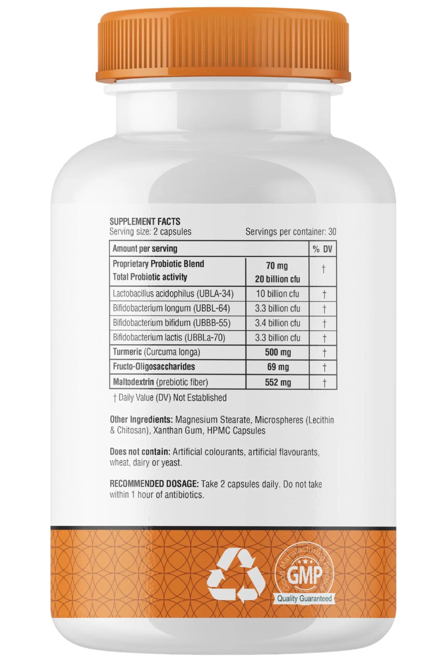 obel Probiotic & Prebiotic Supplement with Turmeric | 20 Billion CFU | 60 Capsules (30 Day Supply) | 4 Strains | Supports Digestion obel
