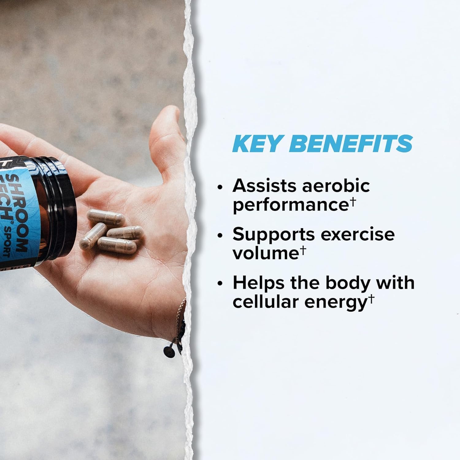 ONNIT Cognitive & Endurance Support Bundle: Alpha Brain Nootropic Capsules (30 Count) + Shroom Tech Sport Exercise Support Capsules (28 Count), IGEN Non-GMO Tested Focus, Energy & Endurance, 2 Pack ONNIT buy australia supplements