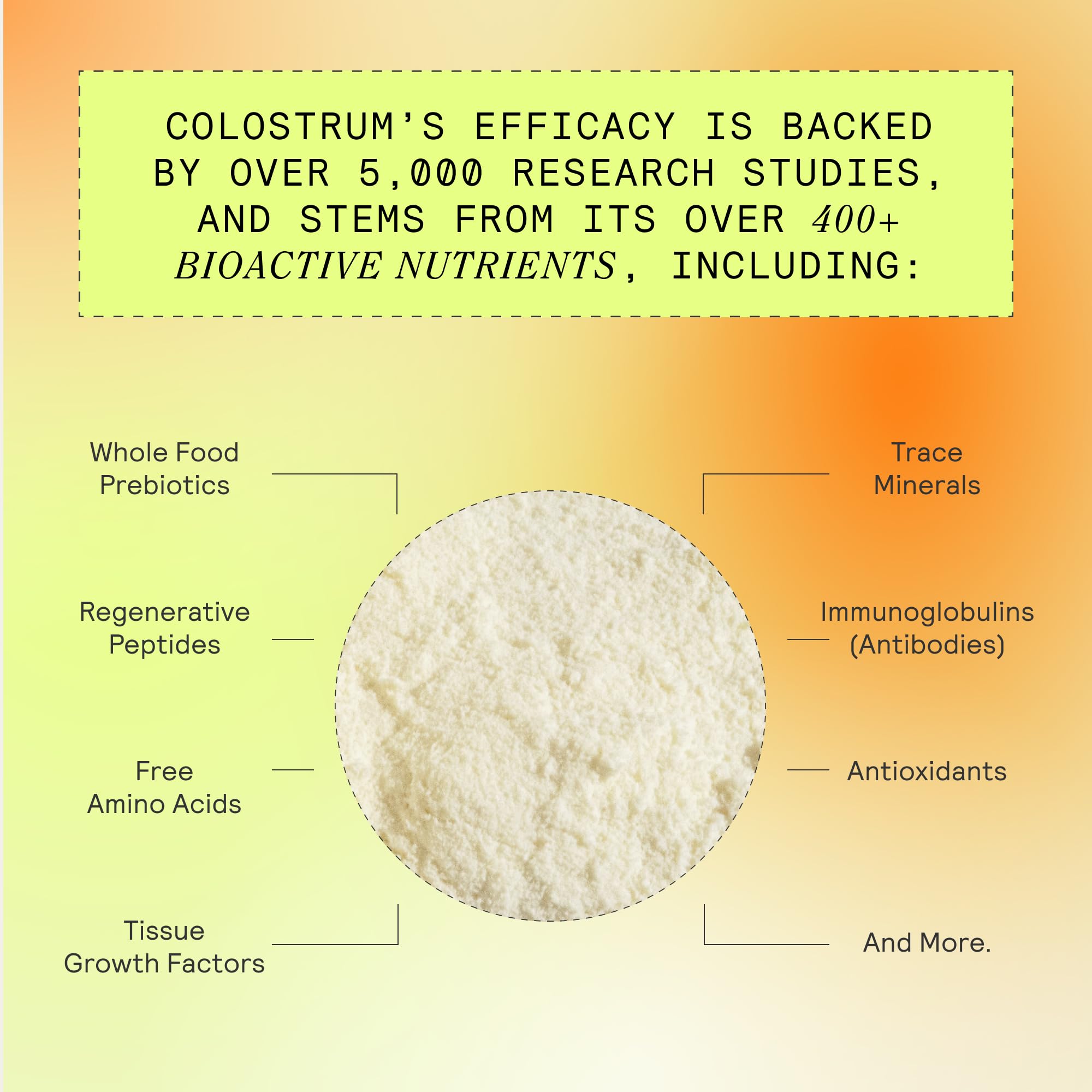 ARMRA Colostrum Powder | Vine Watermelon | Gut Health & Bloating | Skin & Hair | Immunity | Keto, Gluten & Fat-Free | 60 Servings ARMRA buy australia supplements