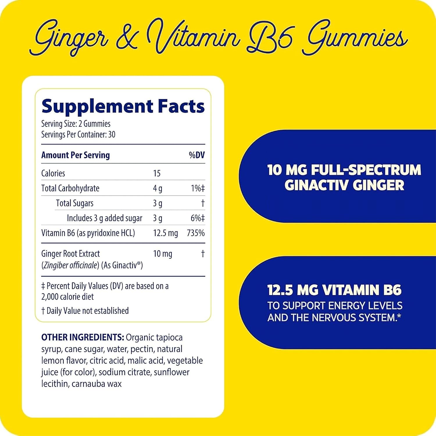 Enzymedica Ginger & B6 Gummies, 60 CT Gsupps Australia