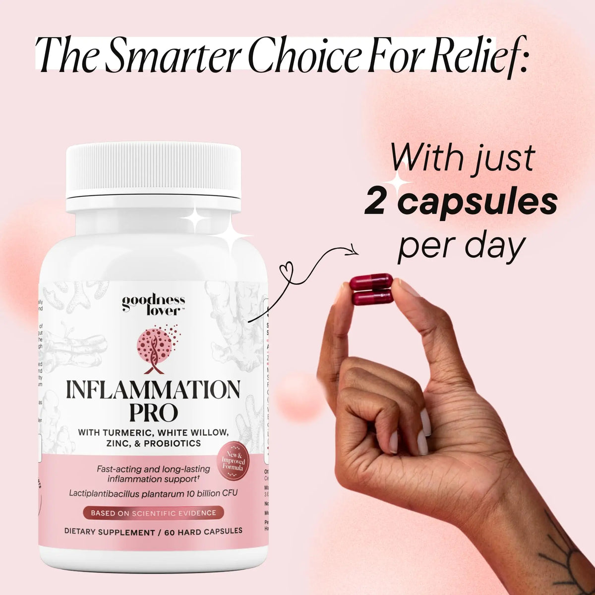 Goodness Lover Inflammation Pro, with 10 Billion CFU for Digestive Support, Curcumin, White Willow bark Extract, Zero fillers, Vegan, 30 Servings Goodness Lover