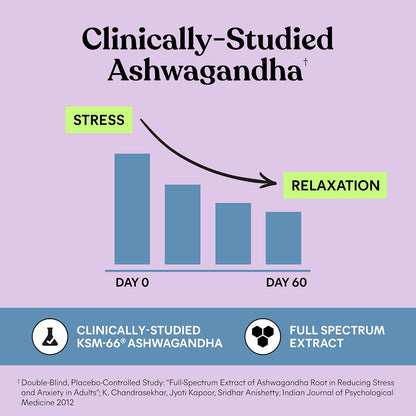 Lemme Relax Soft Chews with Magnesium Glycinate & Citrate, KSM-66 Ashwagandha + L-Theanine to Support Stress Relief, Cortisol Levels, Mood & Healthy Sleep Cycles, BlackBerry Lemonade (30 Chews)