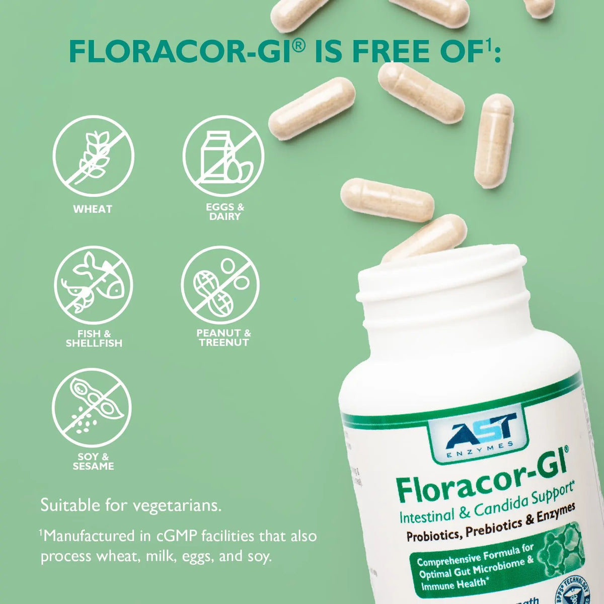 AST Enzymes Floracor - Supports Gut & Intestinal Health - Premium Probiotic, Prebiotic and Enzyme Formula - 60 Vegetarian Capsules AST Enzymes