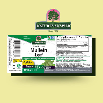Nature's Answer Mullein Herb - Mullein Leaf Extract for Lungs - Alcohol Free, Non GMO, Made in USA - Supports Respiratory Function & Promotes Healthy Lungs Nature's Answer
