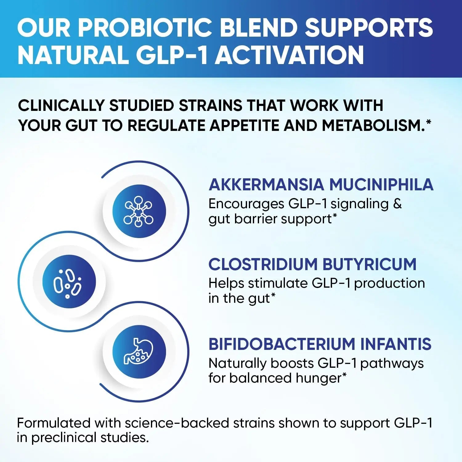 GLP-1 XLR8 Supplement for Weight Loss, Digestion, Constipation, Bloating Relief with Akkermansia 2.6 Billion AFU Live Prebiotic Probiotic Postbiotic Gut Health + Berberine for Women Men 360 Capsules Snappy Scripts buy australia supplements