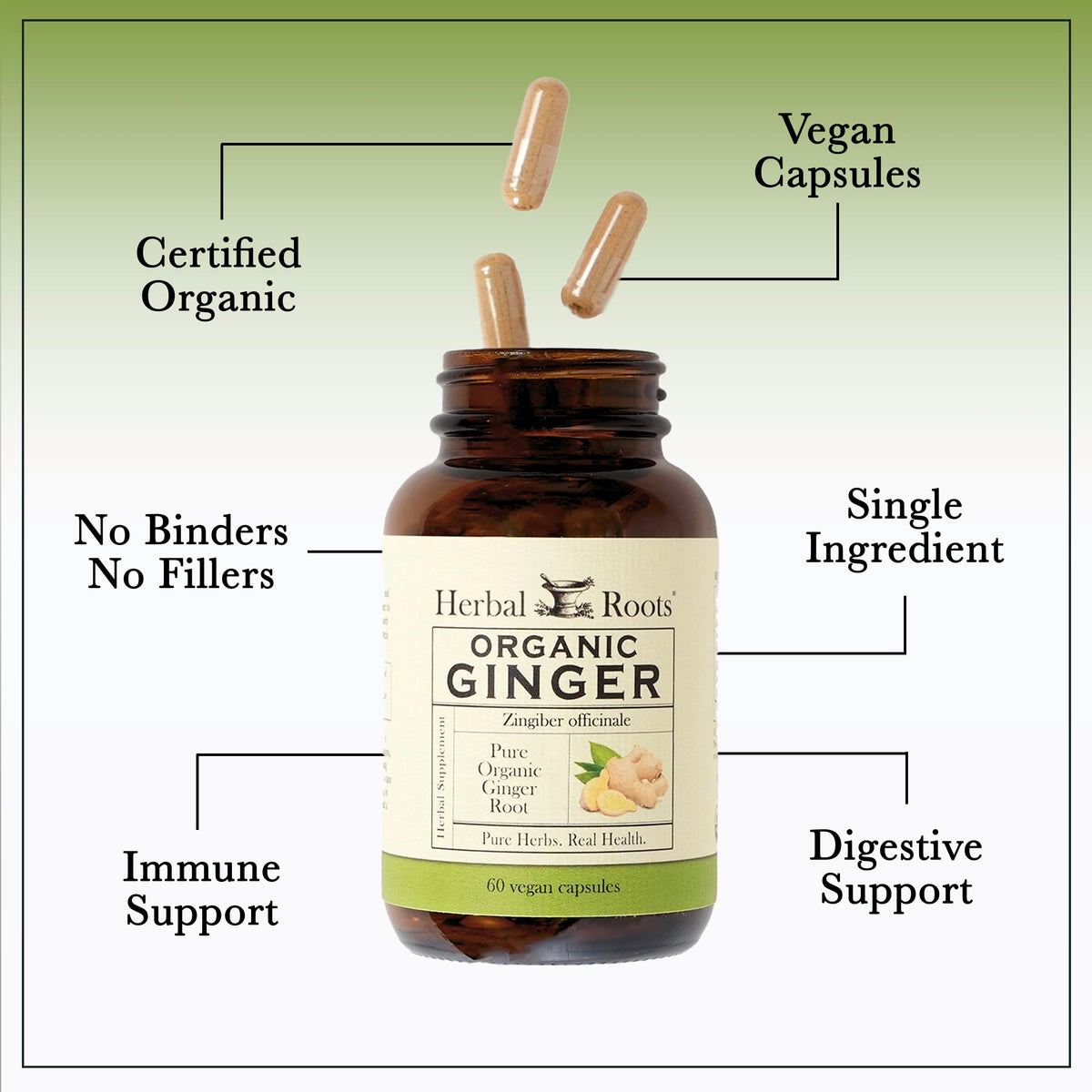 Herbal Roots Ginger Supplement | Organic Ginger Root Capsules | 1,200 mg of Pure Ginger Powder per Serving | 60 Vegan Capsules Herbal Roots
