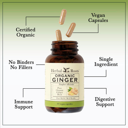 Herbal Roots Ginger Supplement | Organic Ginger Root Capsules | 1,200 mg of Pure Ginger Powder per Serving | 60 Vegan Capsules Herbal Roots