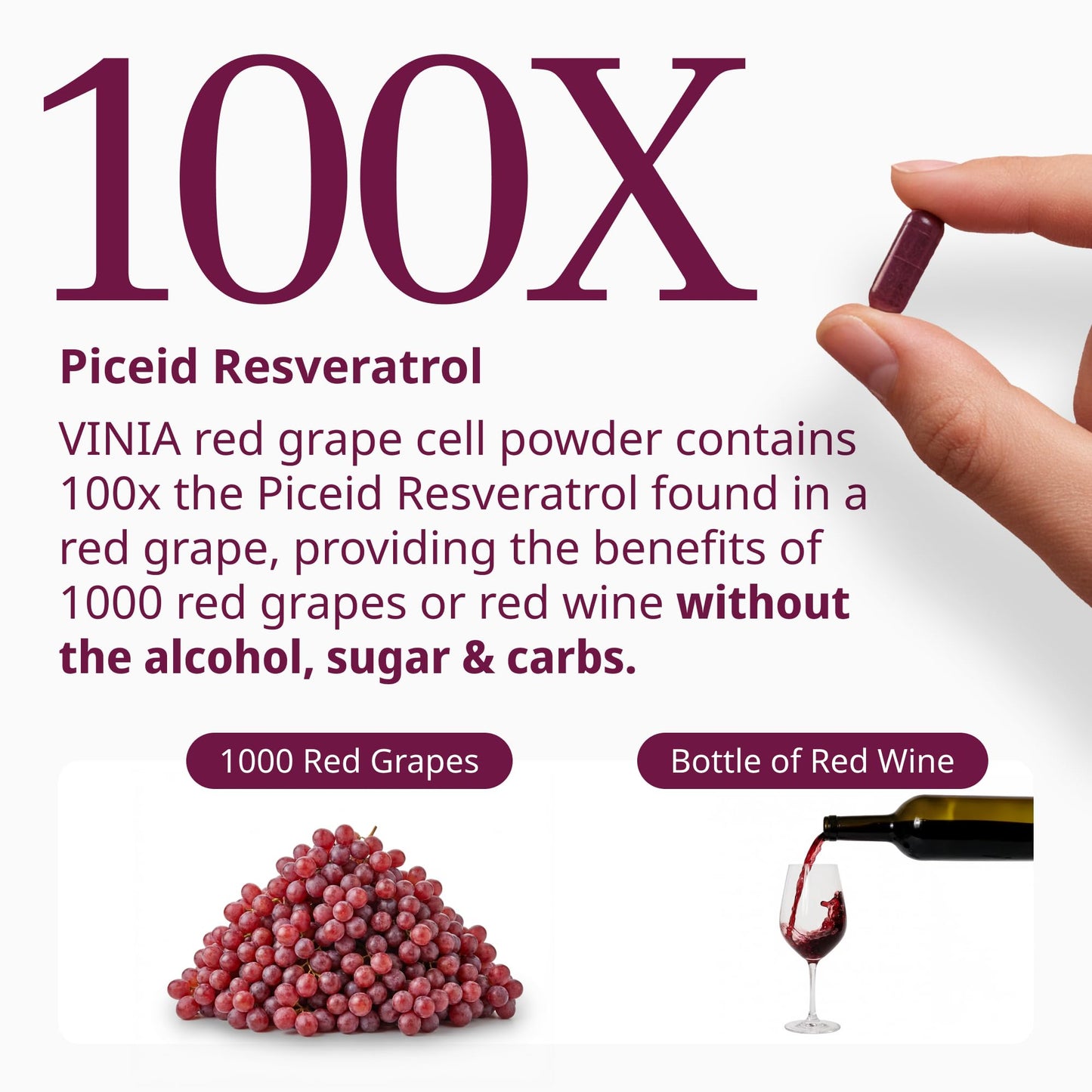 VINIA Piceid Resveratrol Supplement Capsules. Increases Blood Flow and Nitric Oxide. Blood Pressure and Heart Health Support VINIA