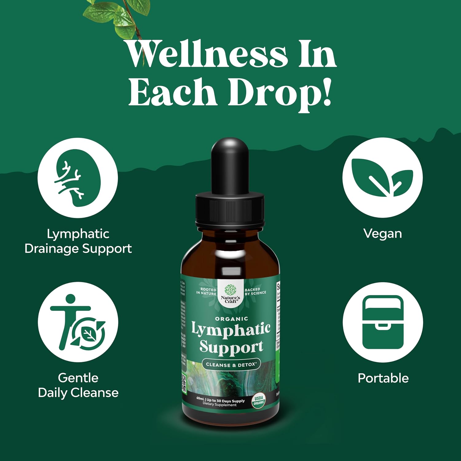 Organic Lymphatic Drainage Drops - Organic Cleavers & Echinacea - 2 Fl Oz | Herbal Lymphatic Complex - Immune Support Supplement with Organic Elderberry & Red Clover - Vegan, Non GMO - 30 Servings Gsupps Australia