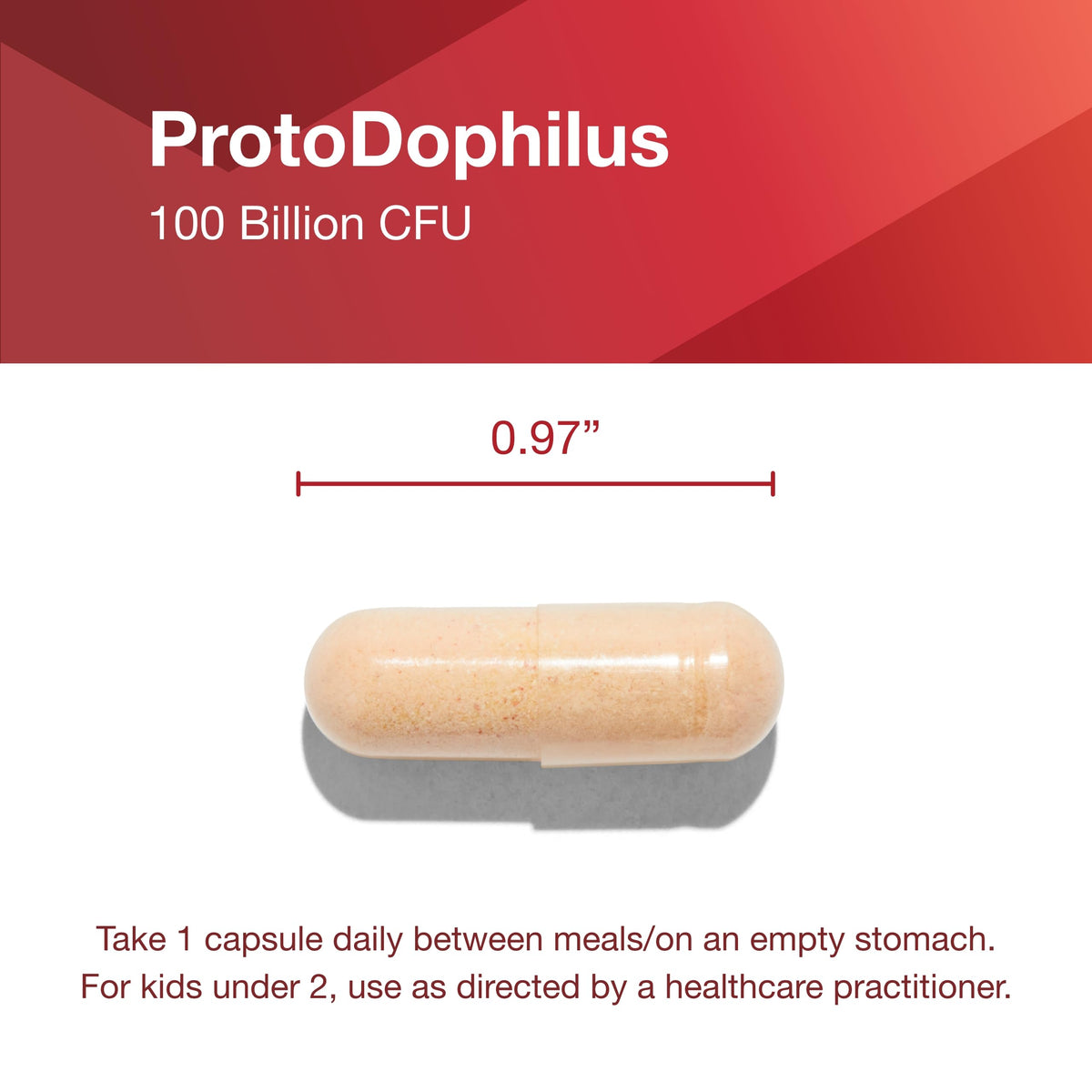 PROTOCOL FOR LIFE BALANCE Proto Dophilus 100 Billion 10 Strains - Support Digestive Gut Health Immune System & Detox - Dairy, Wheat, Soy & Gluten Free - Vegan & Nut Free - 30 Veg Capsules PROTOCOL FOR LIFE BALANCE