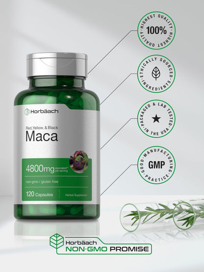 Horbäach Maca Root Capsules for Men and Women | 120 Pills | High Potency Extract | Non-GMO and Gluten Free Formula Horbäach