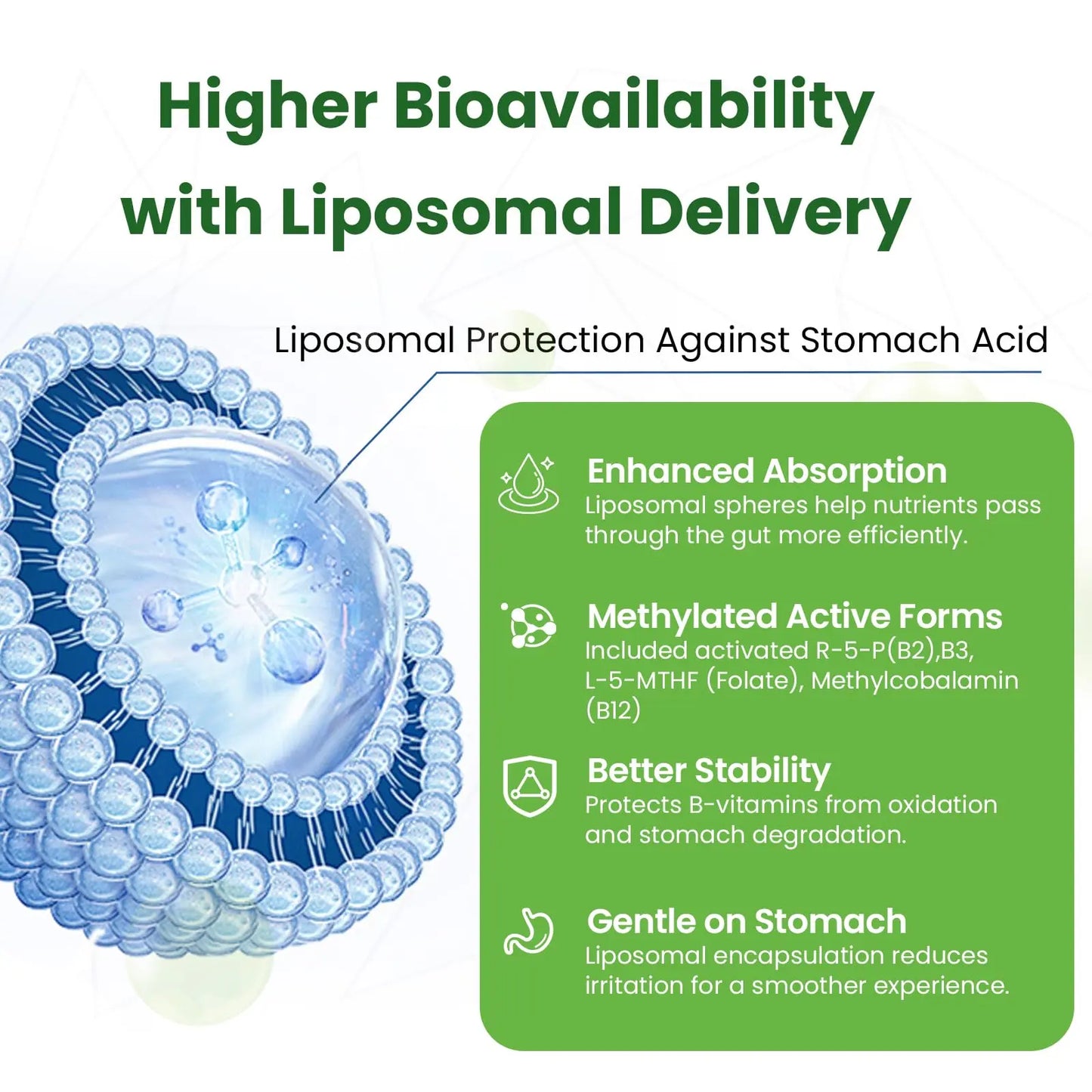 Liposomal B Complex for High Absorption Methylated B12,L-Methyfolate(5-MTHF ),Full Active B Vitamins with Choline Inositol-Energy, Metabolism,Brain & Heart Support Franguly