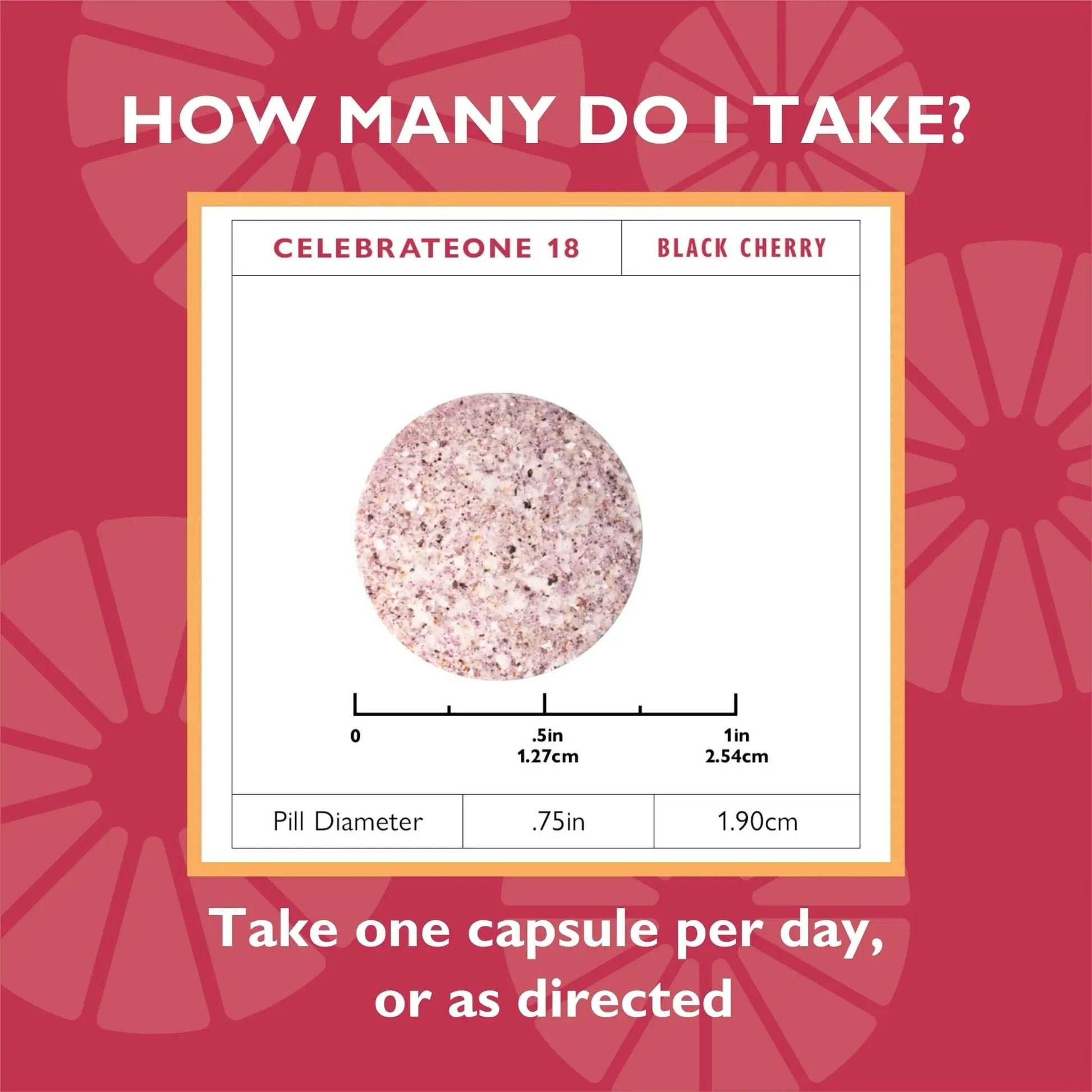 Celebrate Vitamins CelebrateONE 18 Chewables, 18mg Iron - Once Daily Bariatric Multivitamin, Essential Vitamins & Minerals Celebrate Bariatric Supplements buy australia supplements