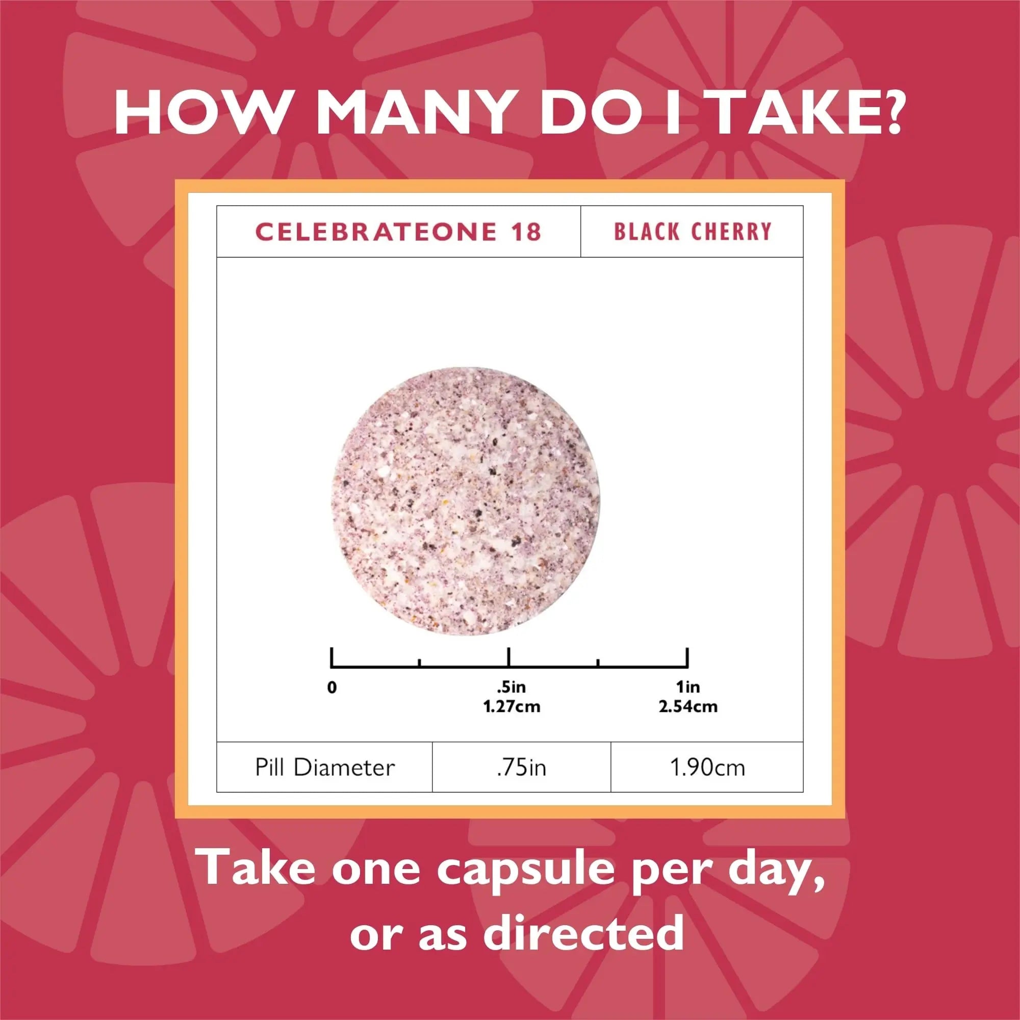 Celebrate Vitamins CelebrateONE 18 Chewables, 18mg Iron - Once Daily Bariatric Multivitamin, Essential Vitamins & Minerals Celebrate Bariatric Supplements buy australia supplements