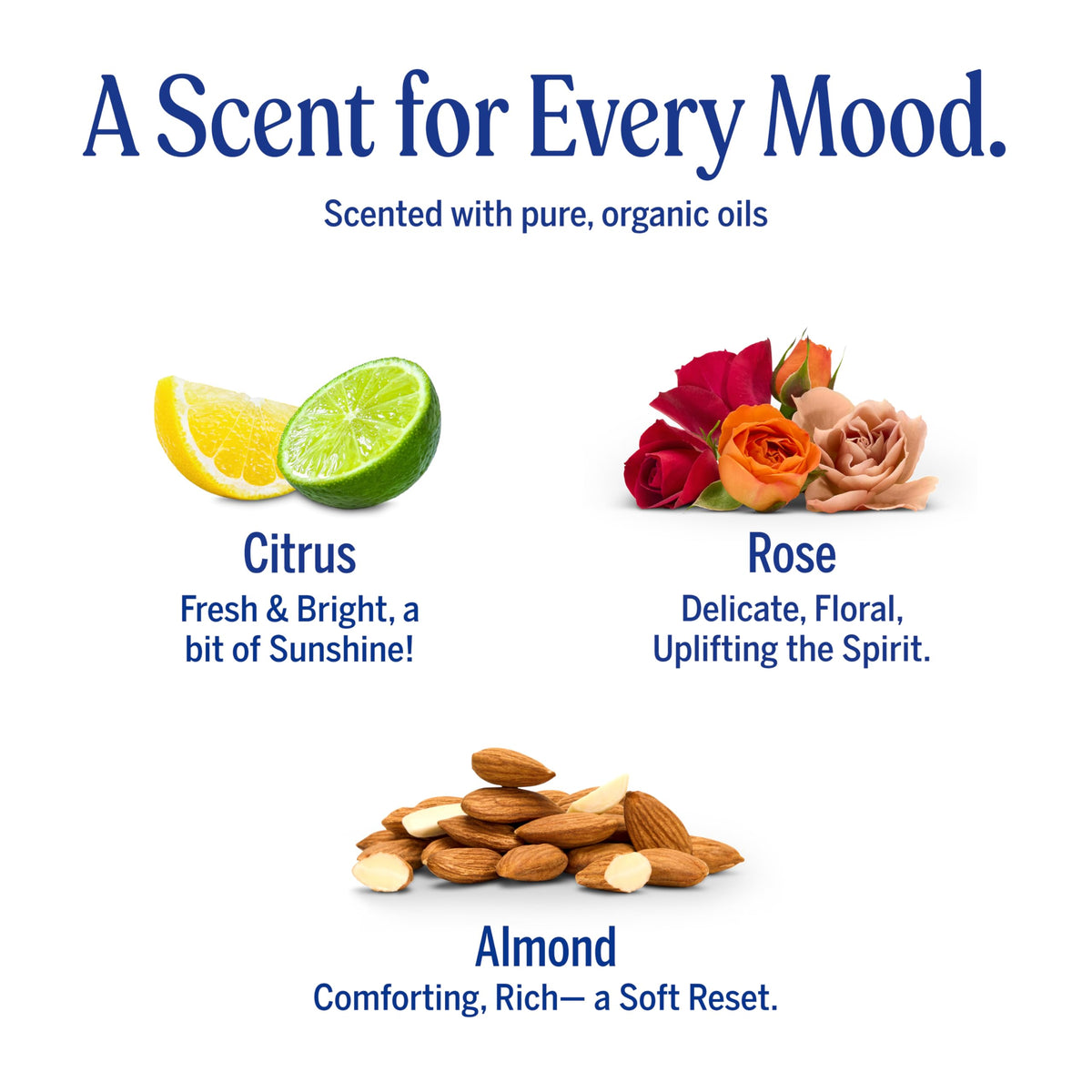 Dr. Bronner's Pure-Castile Magic Bar Soaps (5 Ounce Variety Gift Pack) Almond, Unscented, Lavender, Peppermint, Citrus, Rose - Made with Natural & Organic Certified Oils, Vegan, Non-GMO Dr. Bronner's