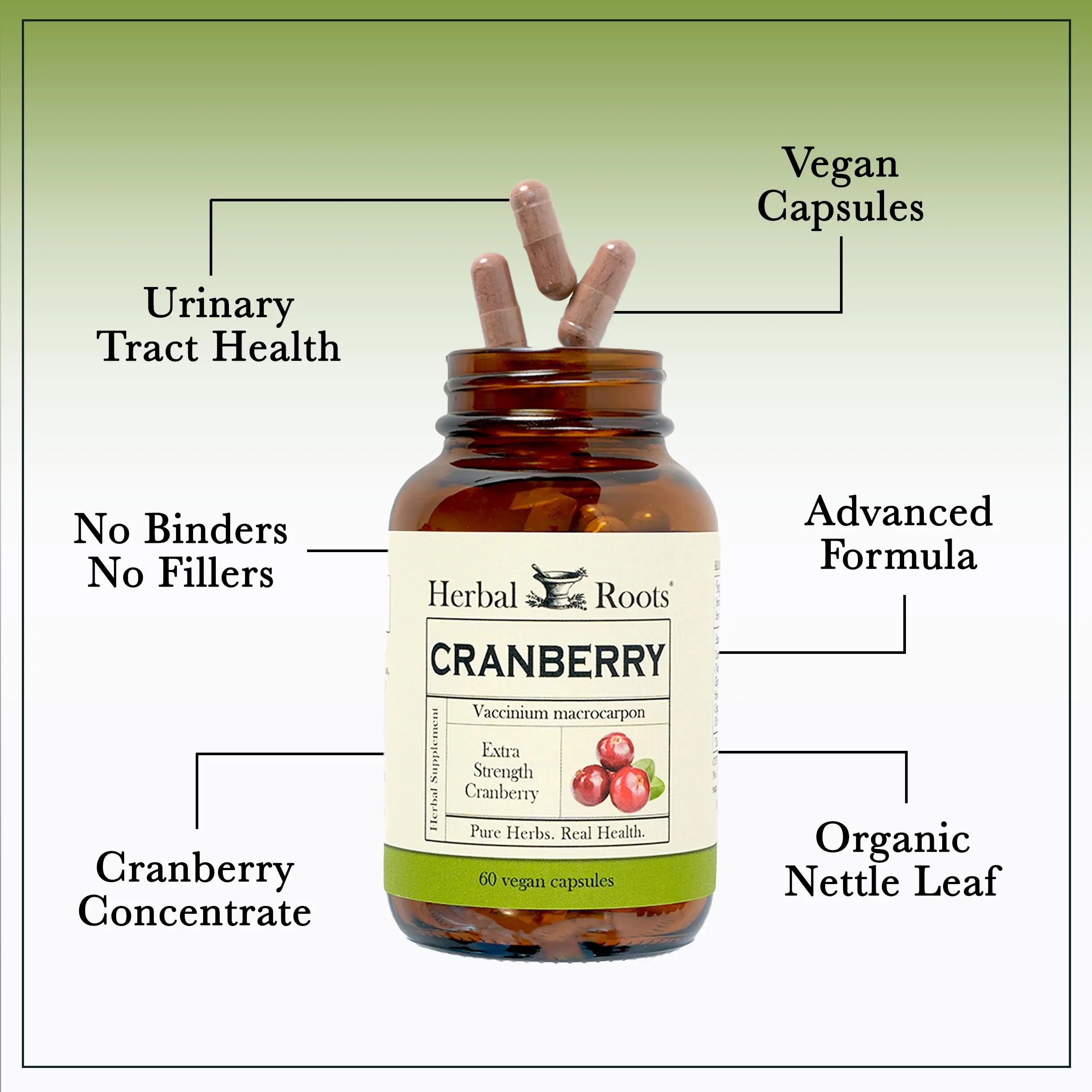 Herbal Roots Extra Strength Cranberry Pills for Women & Men with Organic Nettle | Urinary Tract Health | 60 Vegan Capsules Herbal Roots buy australia supplements