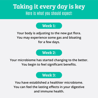 Prebiotics and Probiotics: Lactobacillus Gasseri, Lactobacillus Rhamnosus, Plantarum, Casei, Bifidobacterium longum, lactis, infantis. Probiotic Prebiotic, Dr. Matthew