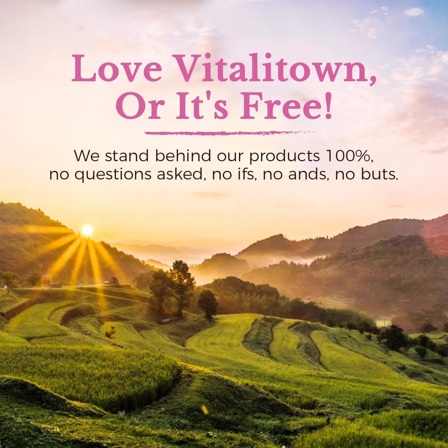 Vitalitown Women's Probiotics | 100 Billion CFUs 18 Strains | Prebiotics, VC & B6, Cranberry | Shelf Stable | Vaginal, Urinary Vitalitown