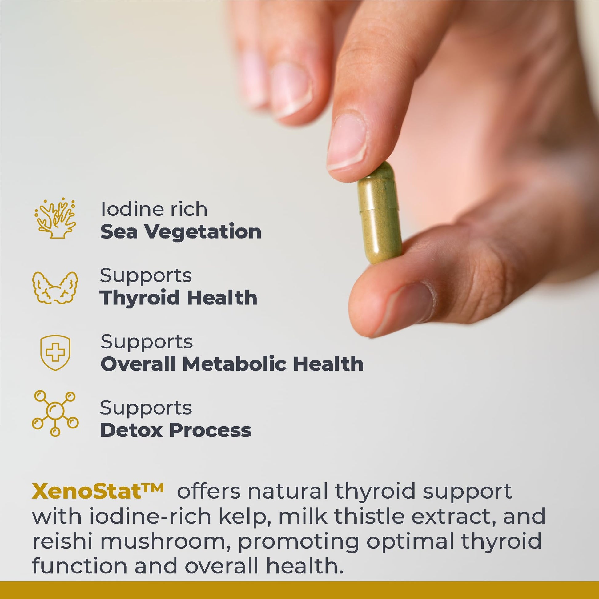 Premier Research Labs XenoStat - Thyroid Supplement, Thyroid Support for Women & Men, Iodine Supplement, Hormone Support, Thyroid Support Complex Supplement - 90 Capsules Premier Research Labs buy australia supplements