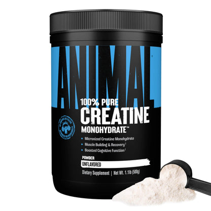 Animal Creatine Monohydrate Powder - Micronized Creatine for Women and Men, Supports Muscle Growth, Strength, Endurance, Recovery and ATP Production, Animal