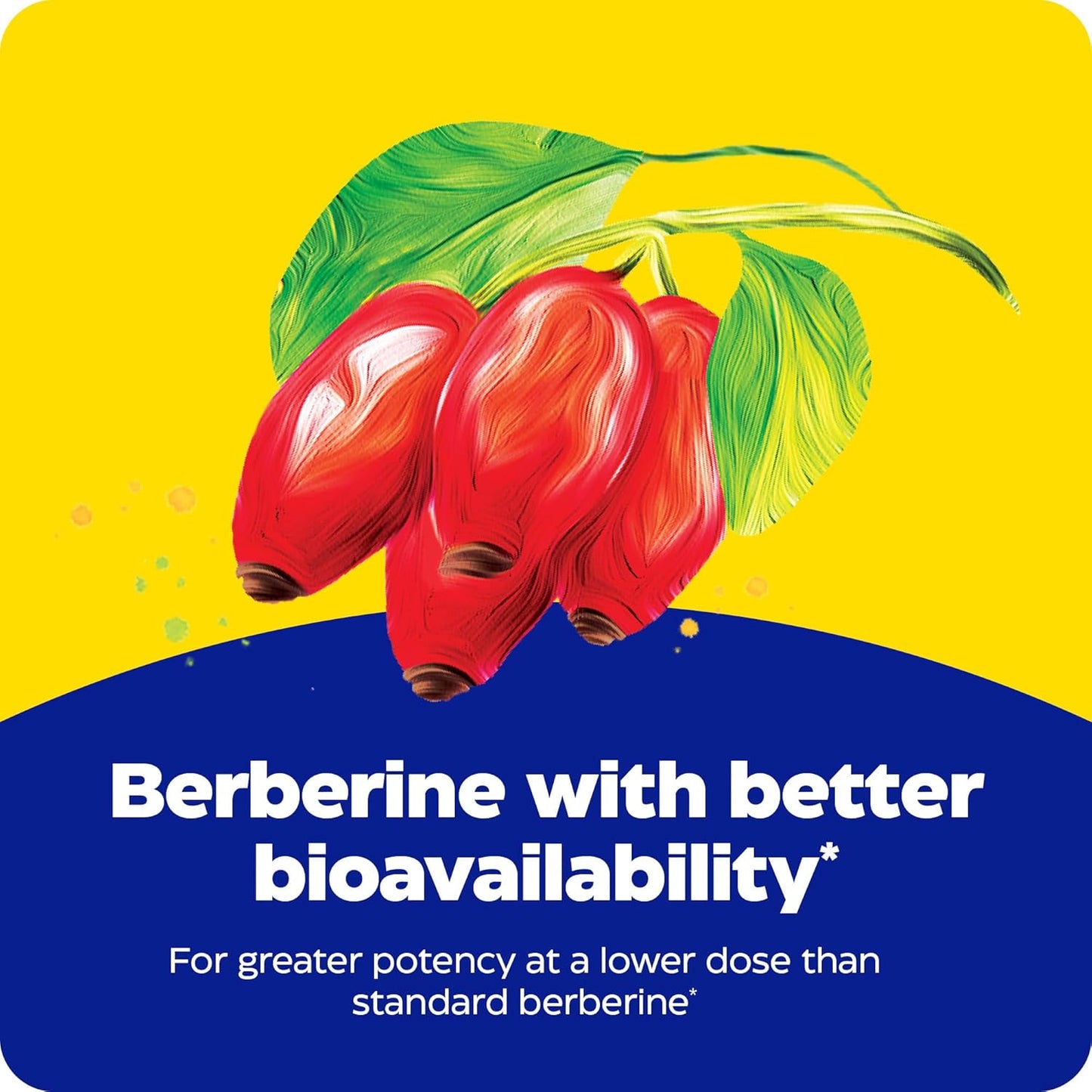 Enzymedica Berberine Phytosome High Absorption Supplement - Berbevis Berberine Phytosome Capsules for Men & Women, Bioavailable Formula, Natural Metabolic Health Support, Vegan, Gluten Free - 60 Caps Gsupps Australia