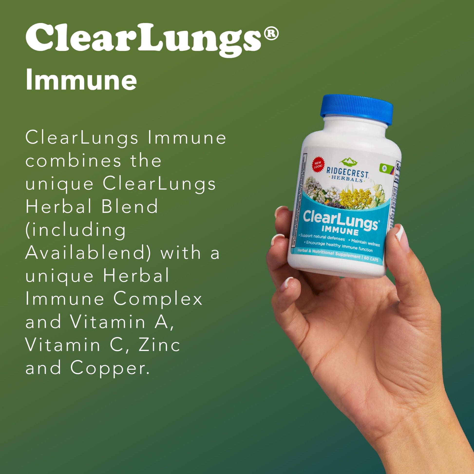 RidgeCrest Herbals ClearLungs Immune, Lung Support Supplement with Elderberry, Zinc, Vitamin C, Vitamin A, Olive Leaf, Mullein, Lung Wellness Formula for Respiratory Health (60 Vegan Caps, 30 Serv) RidgeCrest Herbals buy australia supplements