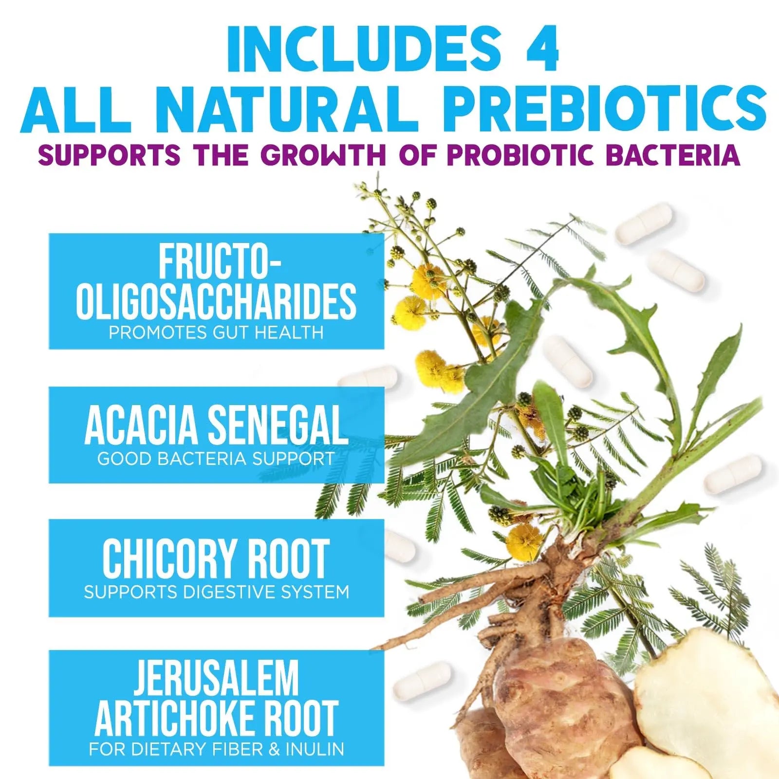 Probiotics 100 Billion CFU Per Serving - 10 Probiotic Strains & Prebiotics - Digestive Gut Health, Immune Support & Occasional Constipation, Gas & Bloating - Daily Supplement For Adults - 60 Capsules Nature's Nutrition buy australia supplements