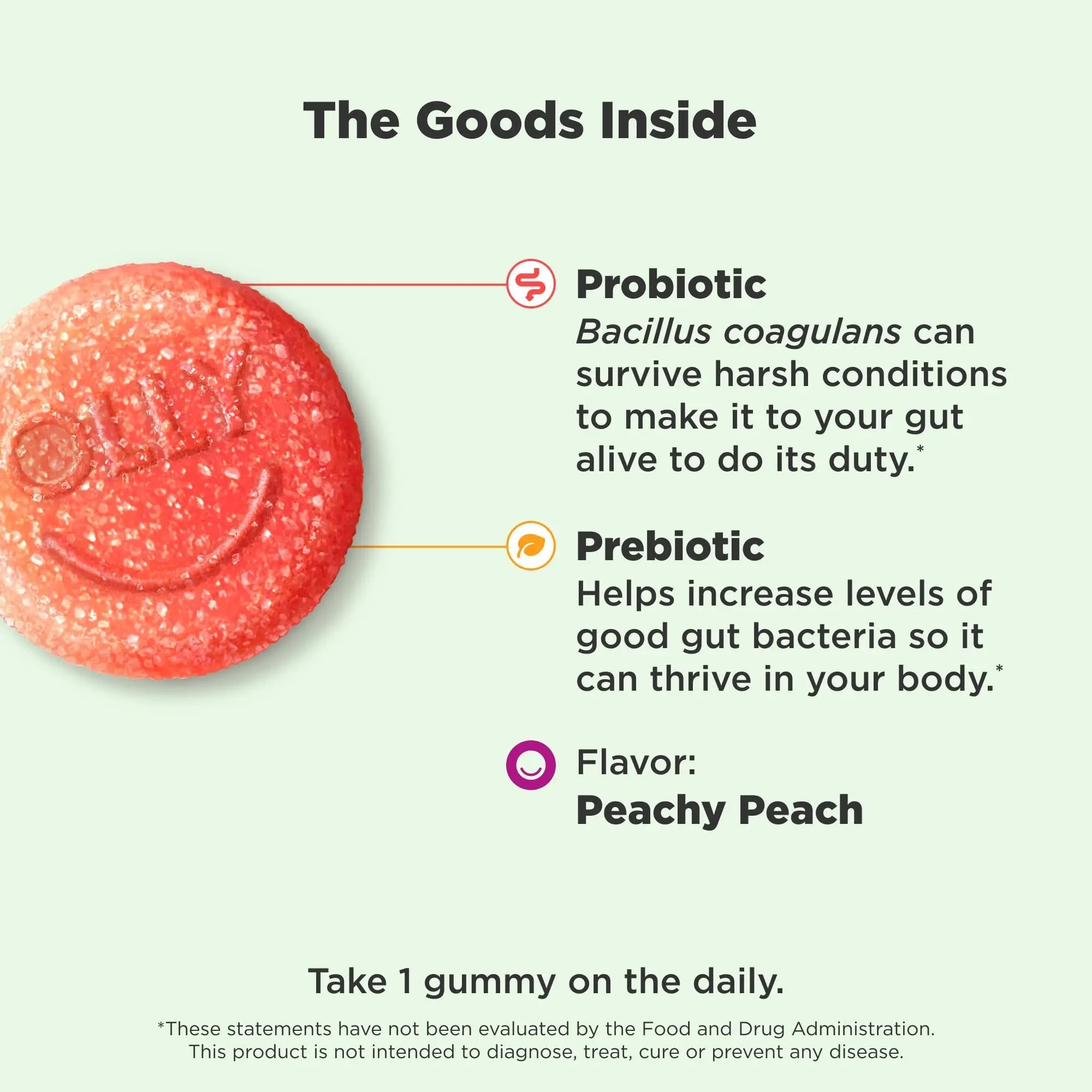 OLLY Probiotic + Prebiotic Gummy, Digestive Support and Gut Health, 500 Million CFUs, Fiber, Adult Chewable Supplement for Men and Women, Peach, 30 Day Supply - 30 Count OLLY buy australia supplements