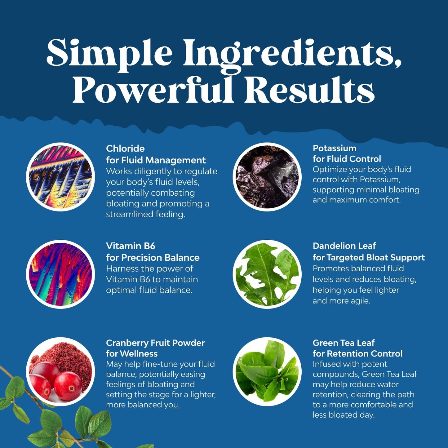 Water Away Herbal Diuretic Pills High Strength - Fluid Retention Supplement with Dandelion Leaf Extract & Green Tea for Bloating Relief for Women & Men - Capsules for Leg & Feet Swelling - 90 Count Gsupps Australia