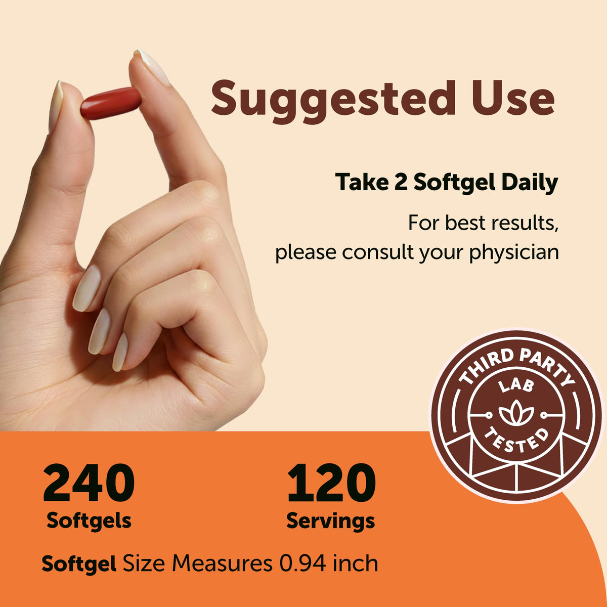 Micro Ingredients CoQ10 400 mg Per Serving, 240 Softgels | Made with Coconut MCT Oil | Coenzyme Q10 (Ubiquinone) | Non-GMO Micro Ingredients