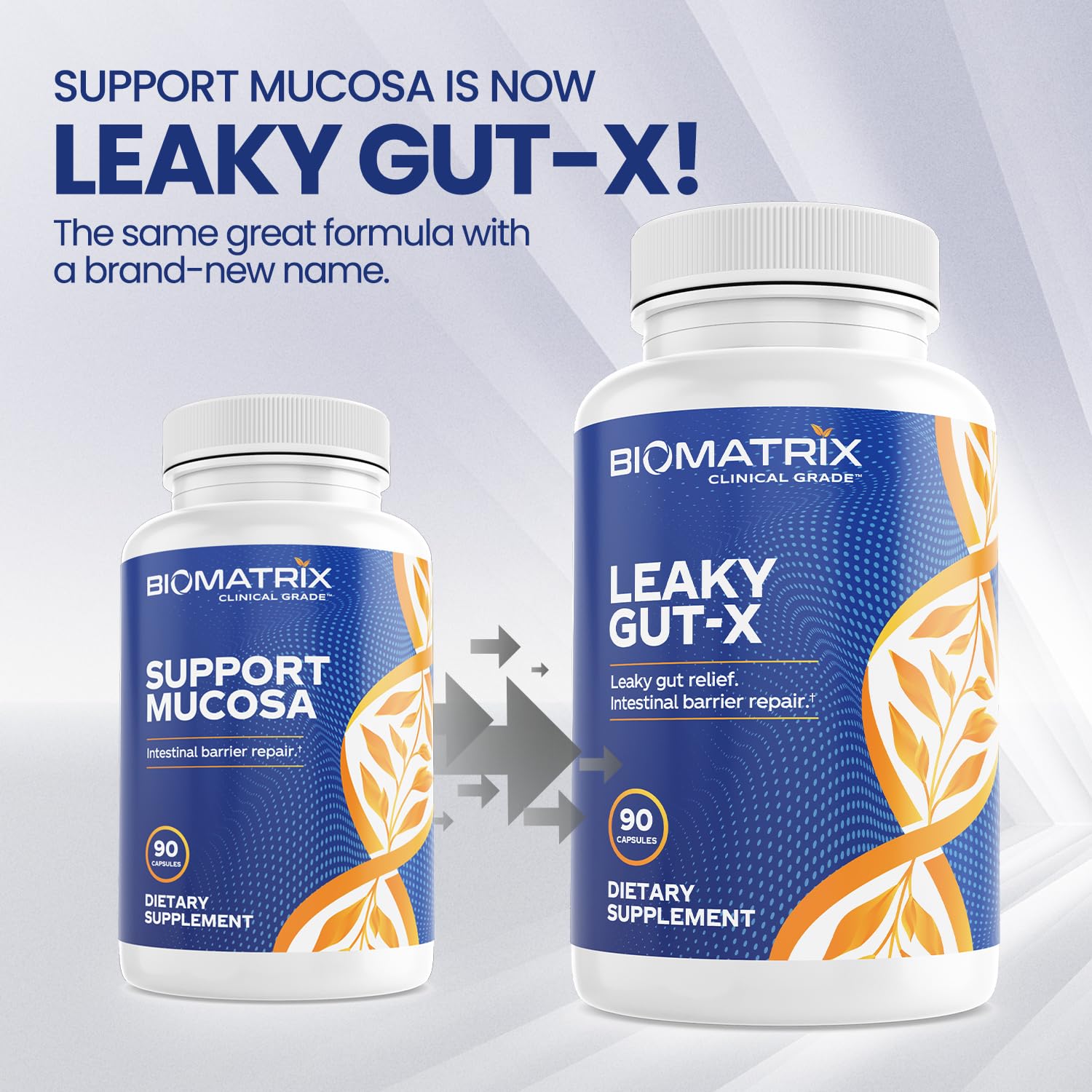 BioMatrix Leaky Gut Repair Supplement w/Glutamine, Quercetin, Cat's Claw, MSM, SIBO, Prebiotic Support, Intestinal Barrier Revive for Men and Women | 60-Day Supply – Leaky Gut-X BioMatrix buy australia supplements