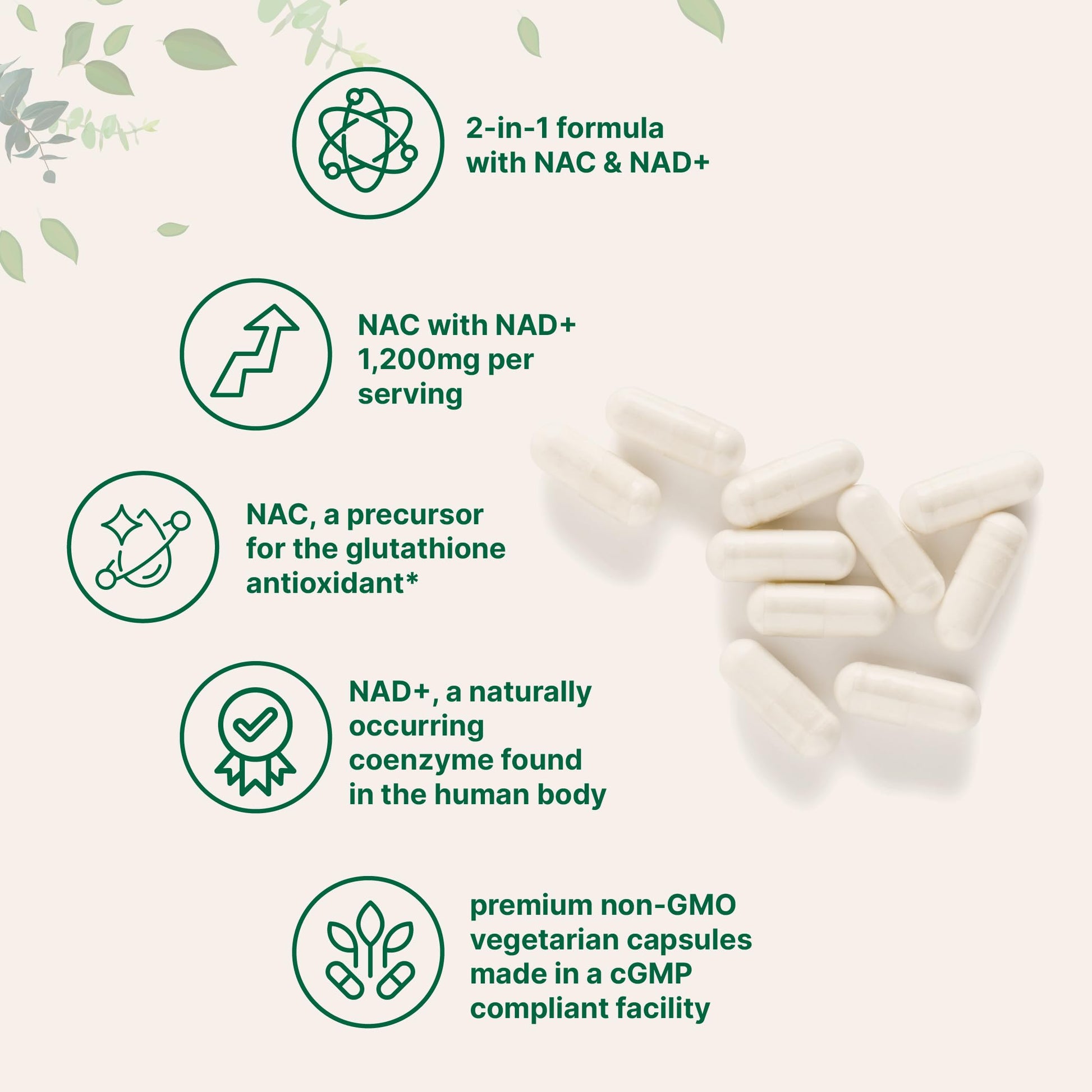 Micro Ingredients NAC with NAD+, 240 Vegetarian Capsules | 1,200 mg Per Serving | 2-in-1 N-Acetyl-L-Cysteine with Nicotinamide Adenine Dinucleotide Micro Ingredients buy australia supplements
